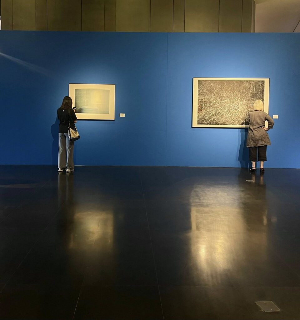 Mock Exhibition #10